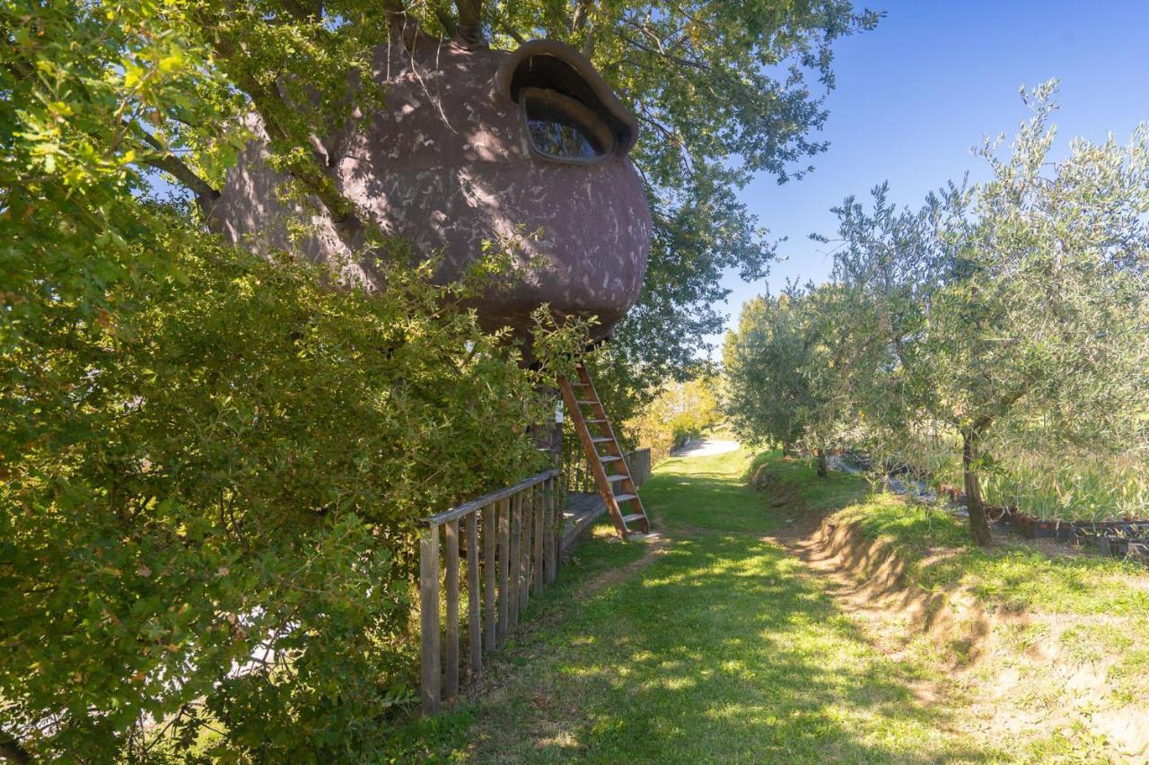 Odina Agriturismo ローロ・チュッフェンナ エクステリア 写真