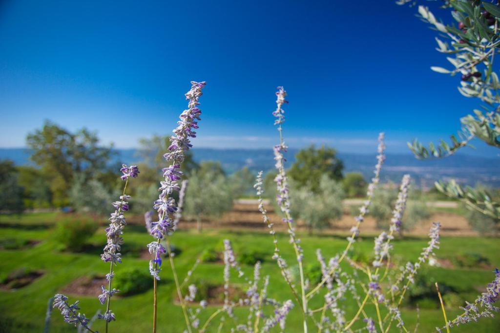 Odina Agriturismo ローロ・チュッフェンナ エクステリア 写真